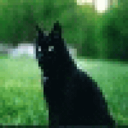 MajorPew