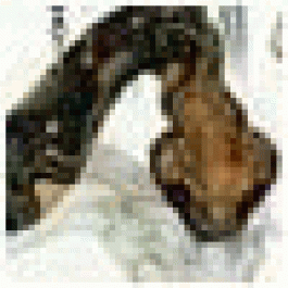 NumbersMed