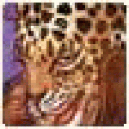 RobertGog