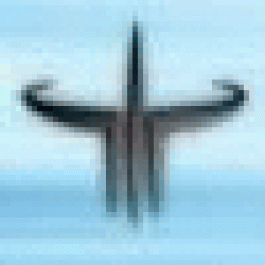 Alonzoelite