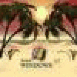 Michaellig