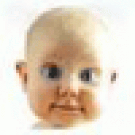 MichaelSmelp