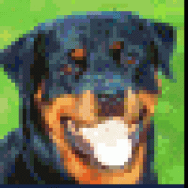 BobbyPed