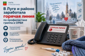 В Луге и районе заработала горячая линия по профилактике гриппа и ОРВИ